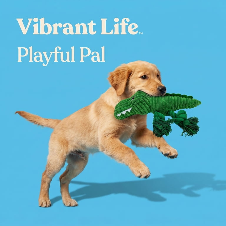 Vibrant Life Green Alligator Plush Dog Toy with Squeaker photo 4