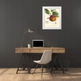 thumbnail image 3 of Bessa 26x32 White Modern Wood Framed Museum Art Print Titled - Bessa Apples, 3 of 4