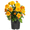 Orange, variant on Expert Gardener 1PT Yellow Garden Mum Live Plant in Grower Pot, 6-Pack