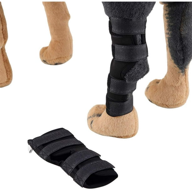 2 Pack Comfortable Dog Legs Braces Canine Rear Hock Joint Support  Compression Wraps Pet Front Hind Legs Knee Pad Carpal Splint Dog Elbow  Braces Protect Back Legs Wounds Injuries Sprains Arthritis 