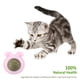 thumbnail image 5 of Juguete de bolas de hierba gatera de plástico para gatos Suministros para mascotas con forma de cabeza de perro reemplazable (rosa), 5 of 6