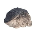 thumbnail image 3 of Estatua de tortuga mordedora en miniatura, adorno de té para mascotas, arcilla púrpura hecha a mano, estatuilla de mascota para té para sala de estar, BLESIY Figura de tortuga mordedora, 3 of 8
