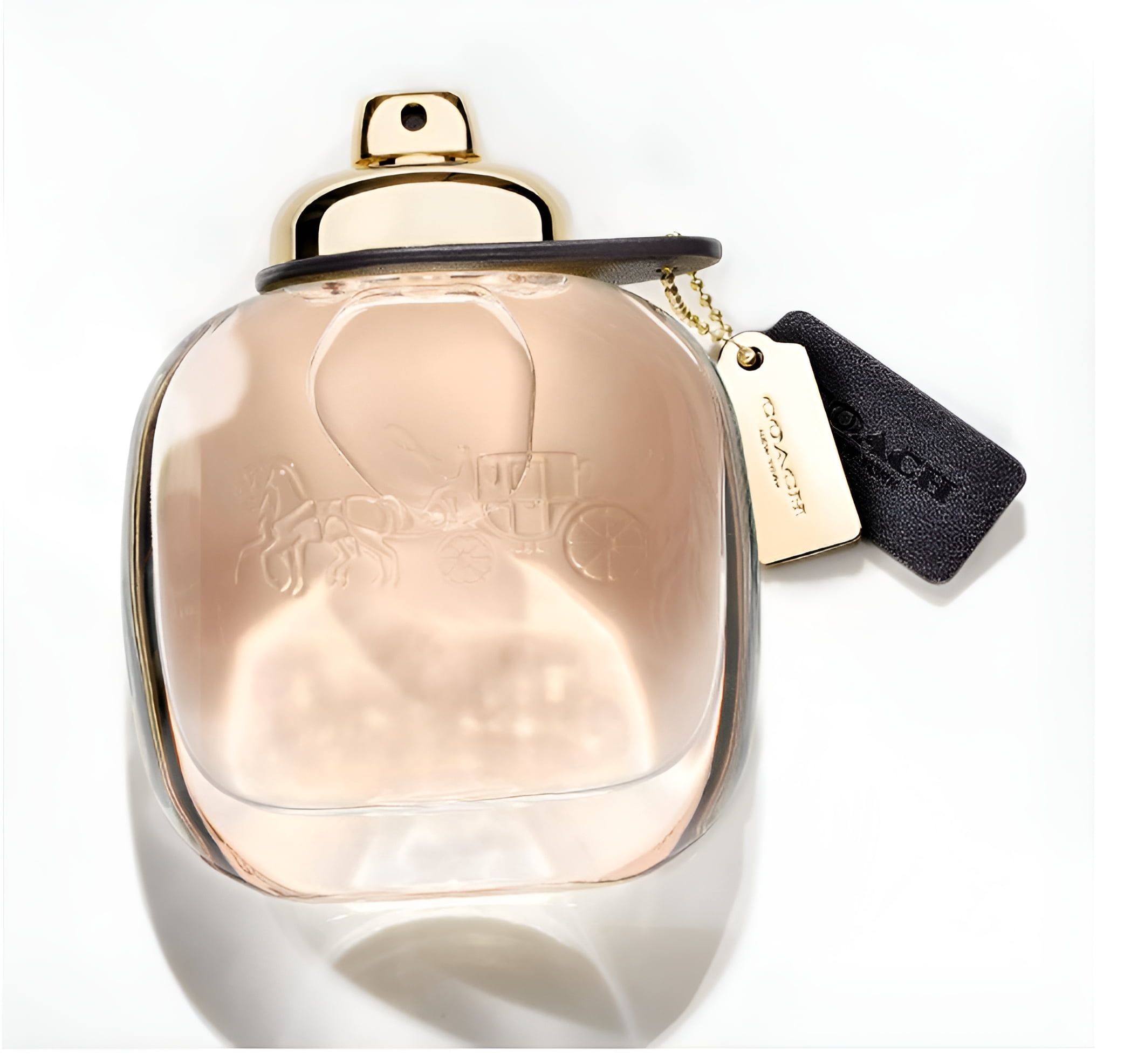 Coach New York Eau De Parfum Spray, Perfume for Women, 3 oz