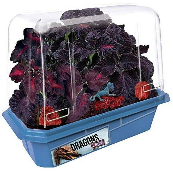 Toys By Nature Miniature World Dragon Plant Growing Kit with Real Lava Rock Dragon Figurine