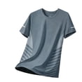 thumbnail image 2 of Men's Breathable Quick Dry Gym T-Shirt, Short Sleeve Crew Neck Striped Athletic Top, Blue,Size L, 2 of 9