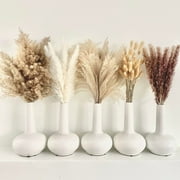 110 Pcs Natural Dried Pampas Grass Bouquet, Bunny Tails Dried Flower, Long-Lasting Dried Flowers Bouquet for Home Wedding Decor, 17 (Without Vase)