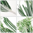 thumbnail image 3 of Artificial Spider Plant Wall Hanging Plant Wedding Decor Simulation Greenery Faux Plant, 3 of 6