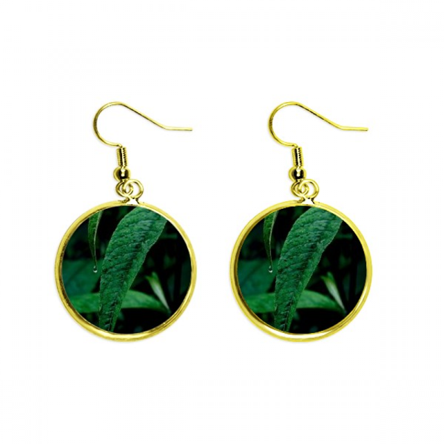 Planta de hoja de la fotografia de naturaleza Ear Dangle Golden Drop Earring Jewelry Mujer Unbranded M