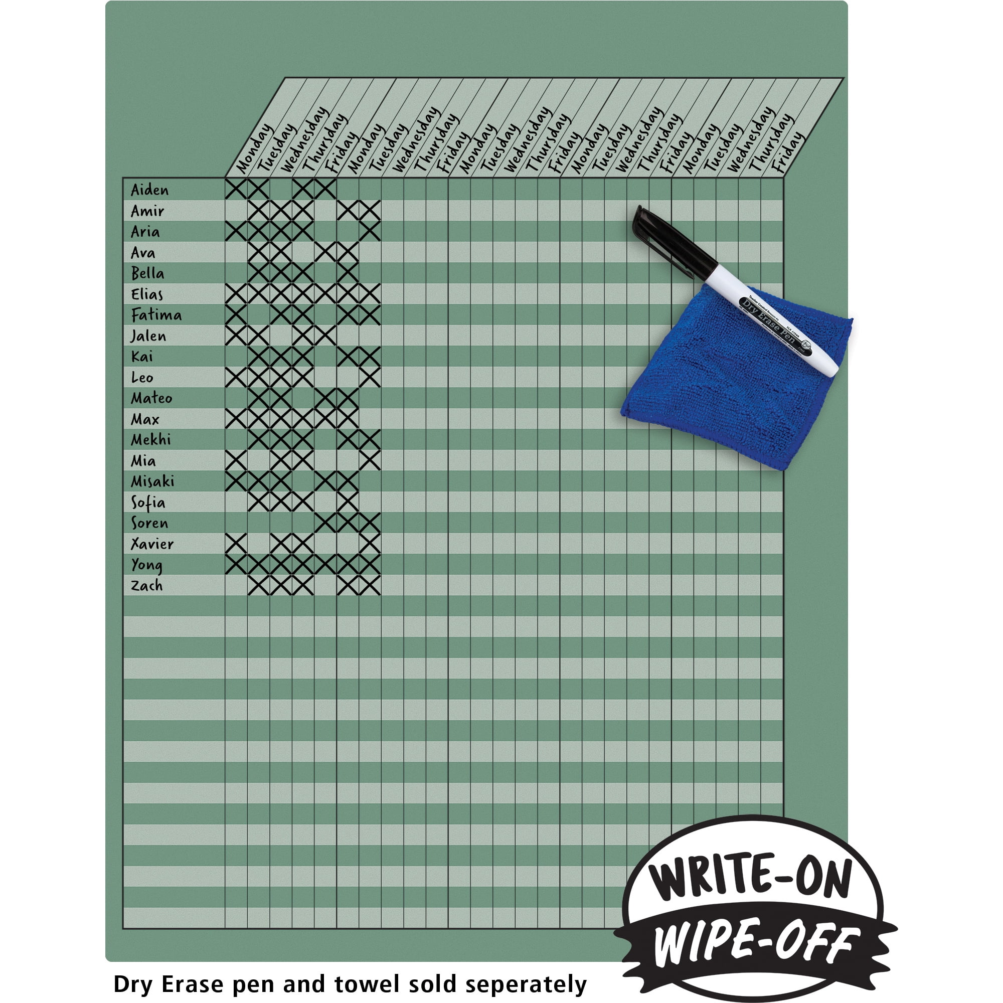 Teacher Created Resources Eucalyptus Green Incentive Write-On/Wipe-Off Chart, Pack of 6