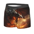thumbnail image 2 of Daiia Fiery Dragon Of Chaos Men's Underwear Boxer Briefs, Cotton Stretch Moisture-Wicking Underwear-XX-Large, 2 of 9