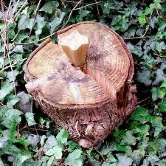 Steel Splitter Point Hammer Type Wedge Log Splitting Tool for Firewood Chopper