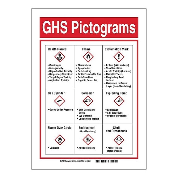 Brady GHS Sign, GHS Picto, 10 in W, 14 in H 133167