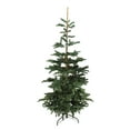 thumbnail image 2 of Northlight Real Touch™️ Nordmann Fir Layered Artificial Christmas Tree - Unlit - 9', 2 of 6