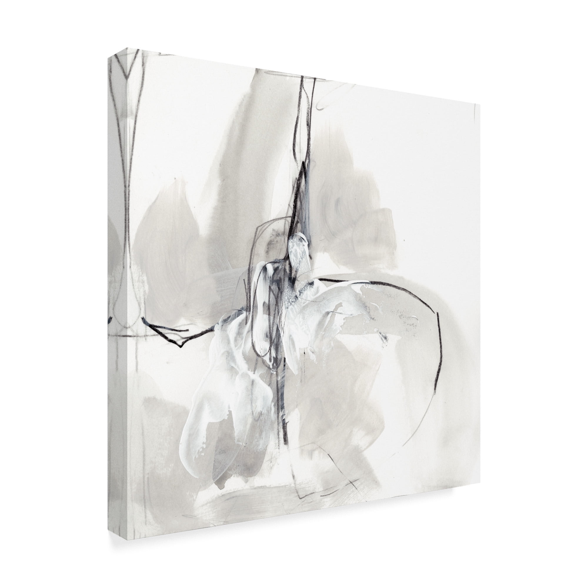 Trademark Fine Art 'Monochrome Gestures VIII' Canvas Art by June Erica Vess