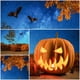thumbnail image 5 of Fondo de fotografía de tema de Halloween Fondo de fotografía de retrato con diseño de calabaza Acces Abanopi Fondo, 5 of 7