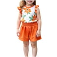 thumbnail image 2 of NAISIBABY Girls Outfit Sets, Cute Ruffled Floral Tops Elastic Waist Shorts Cotton Summer Casual Outfits Orange 4-5T, 2 of 4