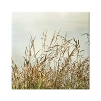 Stupell Industries Ocean Reeds Photography Landscape Photography Gallery Wrapped Canvas Art Print Wall Art, 17 x 17