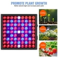 thumbnail image 5 of Grow Light, Led Full Spectrum Lamp, 2000W Led Plant Light, Bulb Greenhouses Indoor Phyto Lamp, Grow Tent US Plug, 5 of 9