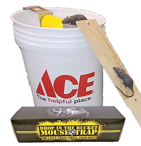 Drop In The Bucket Reusable Medium Multiple Catch Animal Trap For Mouse