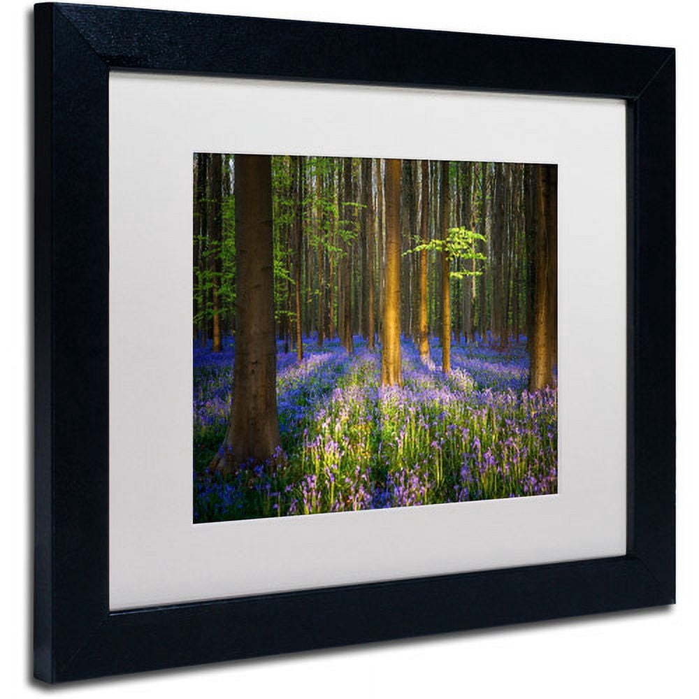 Trademark Fine Art "Mystical Forest" Canvas Art by Mathieu Rivrin, White Matte, Black Frame