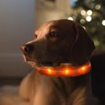 thumbnail image 3 of Collar luminoso para perro con luz LED Yuyangstore Naranja, 3 of 8