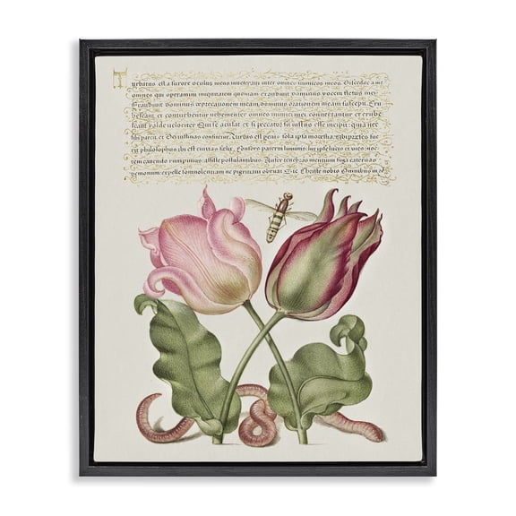 Stupell Industries French Country Tulips & Insects Antique Black Floating Frame Canvas Art, 17 x 21, by Melissa Wang