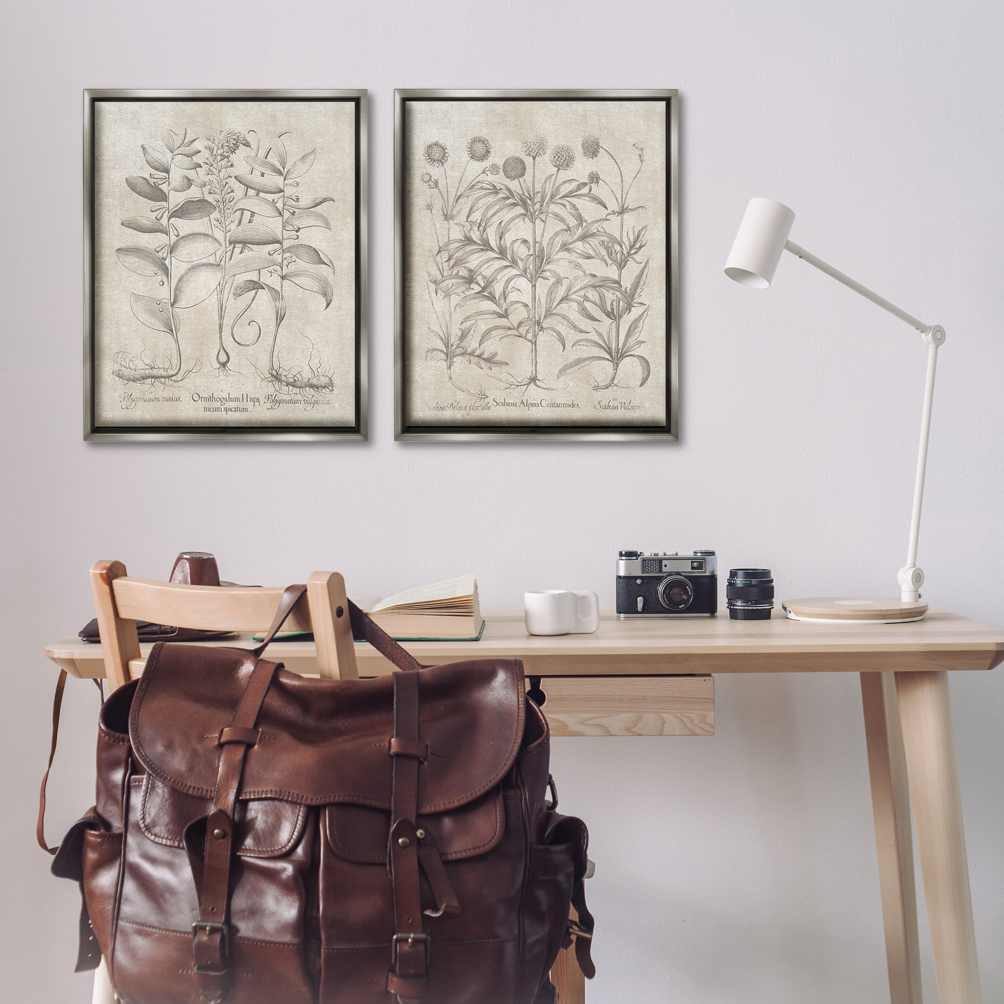 Stupell Industries Soft Botanical Study Plants & Flowers Painting Gray Floater Framed Canvas Art Print Wall Art, 31 x 25, Set of 2