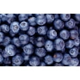 thumbnail image 3 of Jovvily Bilberry Extract Powder - 8 oz - Herbal Supplement - Always Pure - No Fillers, 3 of 5