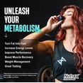 thumbnail image 7 of Nutrex Research Liquid Carnitine 3000 Blue Raspberry, 7 of 7