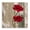 Red Anemones Duo Floral Botanical, variant on Stupell Industries French Country Rustic Red Anemones Black Floating Frame Canvas Art, 18 x 18, by Brian Foster