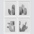 thumbnail image 3 of PixonSign Poster Set Black & White Saguaro Southwest Desert Tropical Cactus Prints Floral Botanical Photography Art Scenic Nature Wilderness Wall Decorative for Bedroom, Office - 11"x14" White, 3 of 5