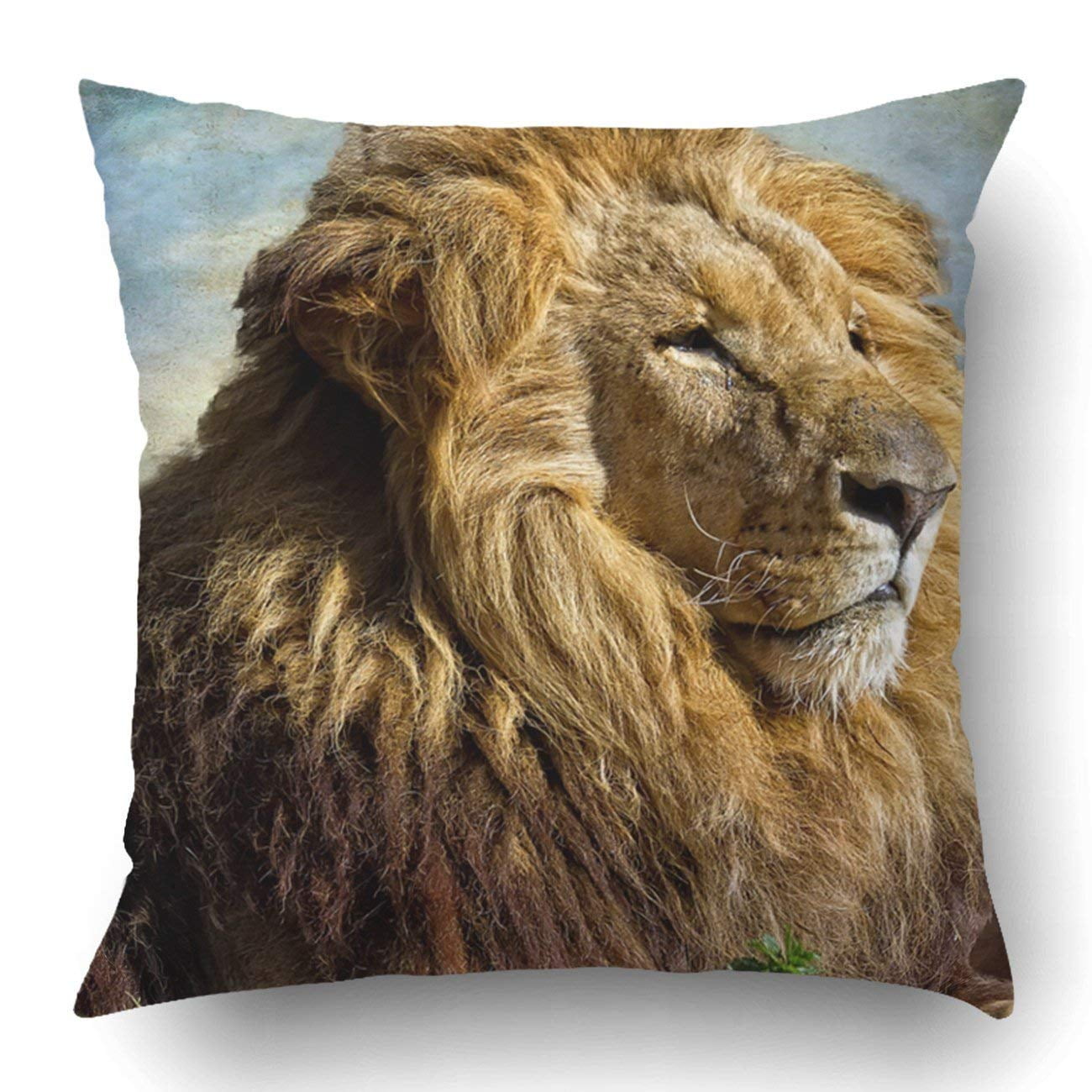 BPBOP The Lion King Profile Image Pillowcase Pillow Cushion Cover 18x18