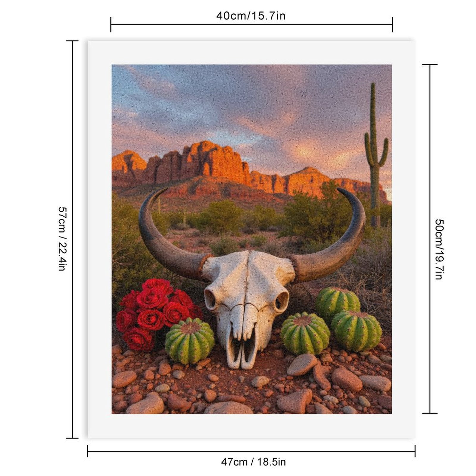 Paint by Numbers Kit for Adults, Desert Skull Cactus Sunset Scene Paint by Numbers, Easy Paint by Numbers Kit for Adults Beginner, DIY Adult Paint by Number Kits on Canvas, Home Decor