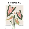 thumbnail image 1 of Botanique - Tropical, 1 of 4