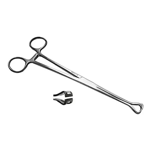 Pinza Babcock Acero Imoxidable 23 cm Hergom Silvery