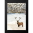 thumbnail image 2 of Stellar Design Studio 17x24 Black Modern Framed Museum Art Print Titled - Grand Elk II, 2 of 5