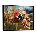 thumbnail image 2 of Designart "Adventurous Ladybug in Red I" Animals Framed Wall Art - Modern Red Ladybug Living Room Framed Canvas Art, 2 of 6