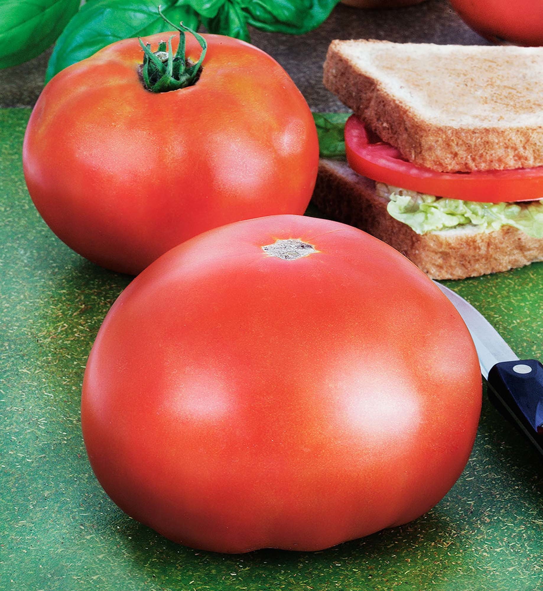 Bonnie Plants 2.32 Qt Park's Whopper Tomato Plant in Pot, Live Outdoor