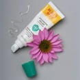 thumbnail image 3 of Burt’s Bees® Advanced Lip Relief with Shea Butter and Echinacea, 100% Natural Origin -, 3 of 5