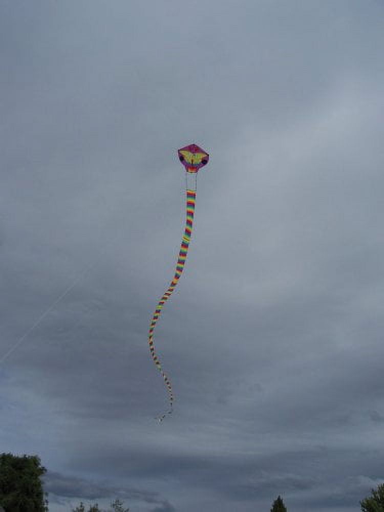 In the Breeze 3020 — Serpent Dragon Kite with 38-Feet Tail — Big, Fun, Colorful Kite for All Ages