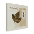 thumbnail image 2 of Trademark Fine Art 'Bronze Leave IV Eternally Golden' Canvas Art by Chris Paschke, 2 of 3