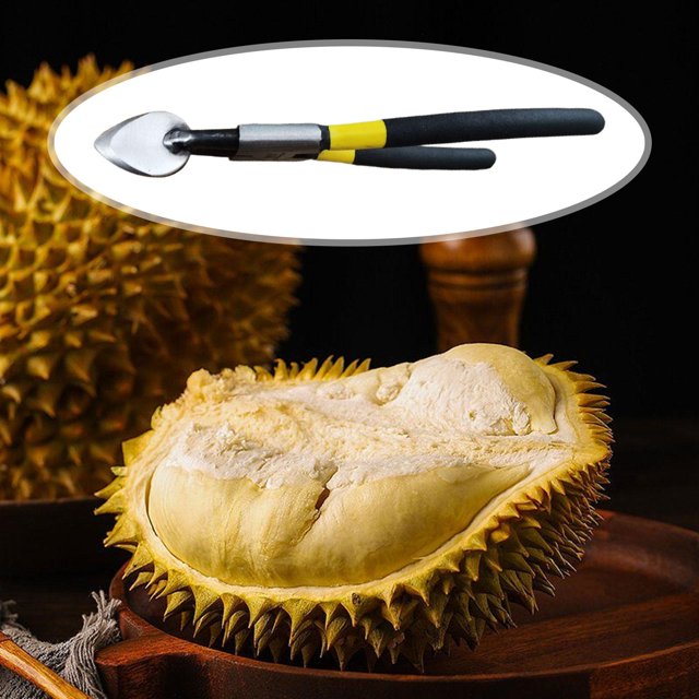 Durian Peel Breaking Tool Durian Opener Tool 7.87 '' Grado alimenticio Duradero Fácil de abrir Ahorre trabajos Durable Fruit Durian Shell Opener Clip Negro perfecl Abridor de durián