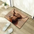 thumbnail image 5 of Creowell Highland Cow Flowers Fast Absorption Bath Mat Home Decor 24x16in, 5 of 5