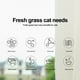 thumbnail image 2 of Pet Cat Grass Hydroponic Growing para Facilitar El Crecimiento () Azul, 2 of 9