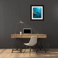 thumbnail image 3 of Fitzharris, Tim 12x14 Black Ornate Wood Framed with Double Matting Museum Art Print Titled - Reef manta rays and moon wrasse-Penida Island-Indonesia, 3 of 4