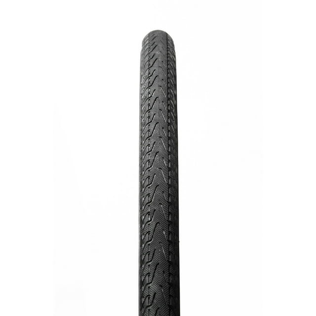 Panaracer Pasela Protite 700 x 28C Pneu à Billes