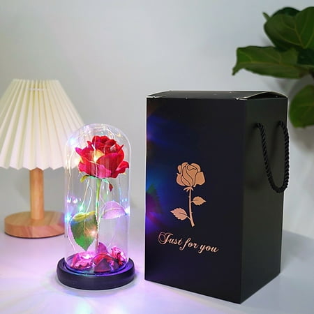 Dose éternelle sous cloche, La Belle et la Bête Rose en verre avec lumières  LED Base