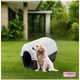 thumbnail image 2 of Casa Para Perro Q Perrón Raza Chica Tipo Iglú, 2 of 7