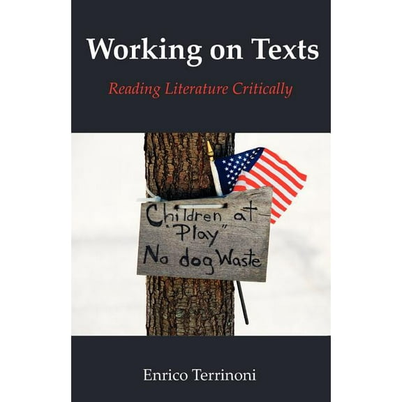 Working on Texts: Reading Literature Critically, (Paperback)
