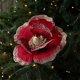 thumbnail image 1 of Producto Esencial Para El Hogar, Hecho De Plstico, Perfecto Para Decoracin Navidea, Celebraciones Navideas Y Fiestas En Casa. Regalo Ideal Para Ocasiones Especiales, UKHBMC, 1 of 8